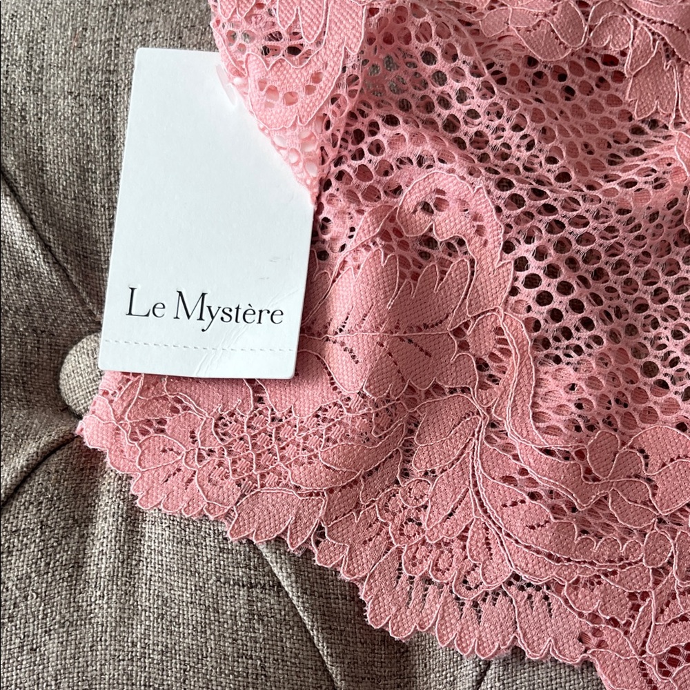Natori & Le Mystere Lace Trim Panty Duo NEW - Picture 5 of 9
